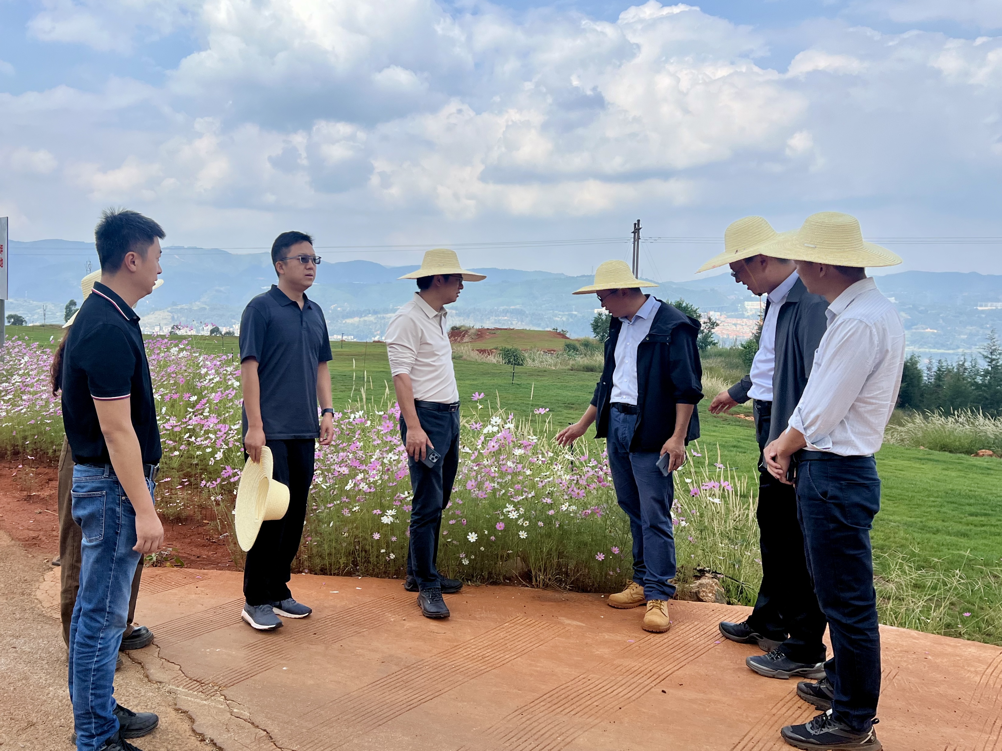 1727320939596716.jpg 1727320939596716.jpg