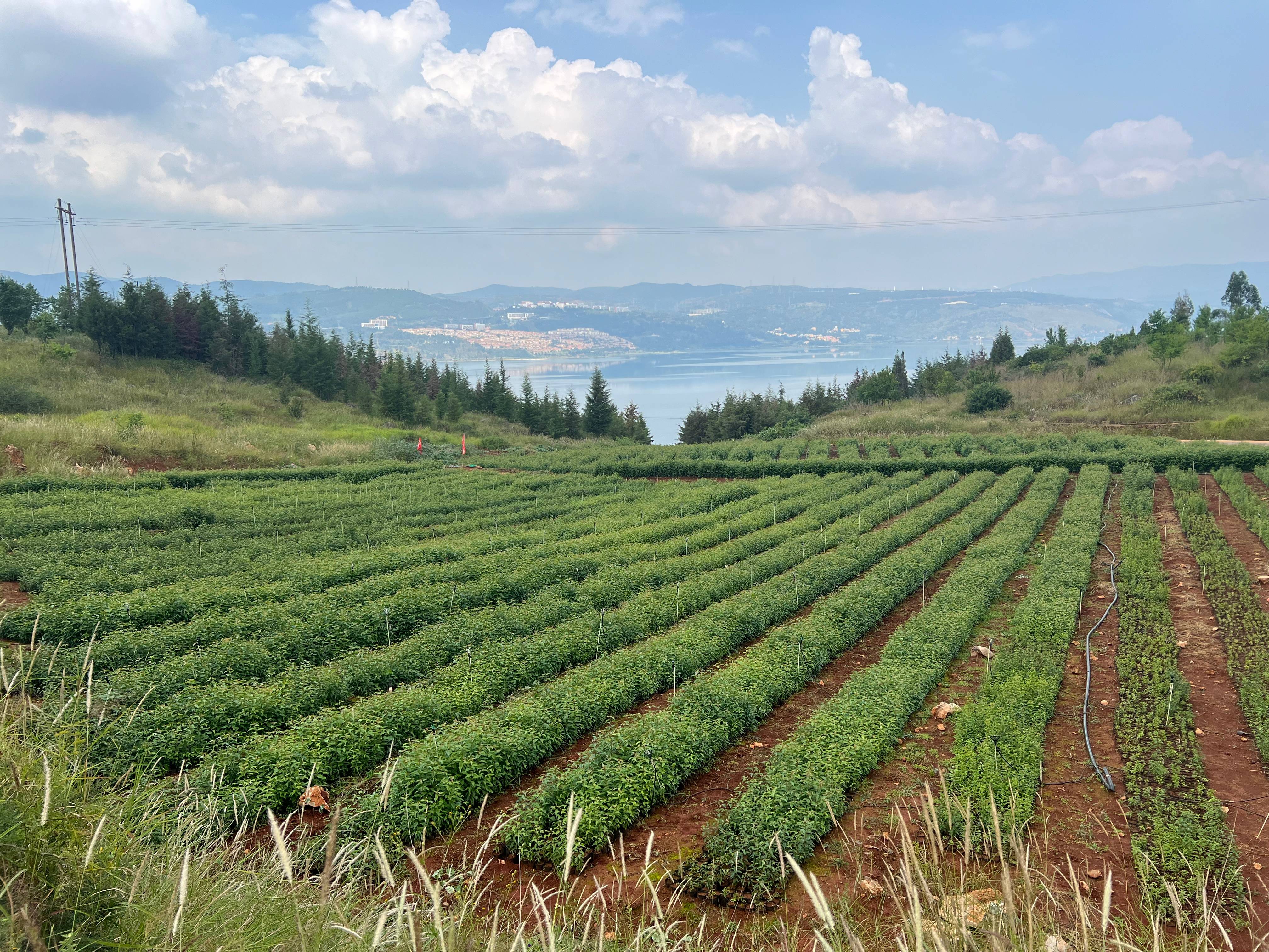 1727320966227321.jpg 1727320966227321.jpg