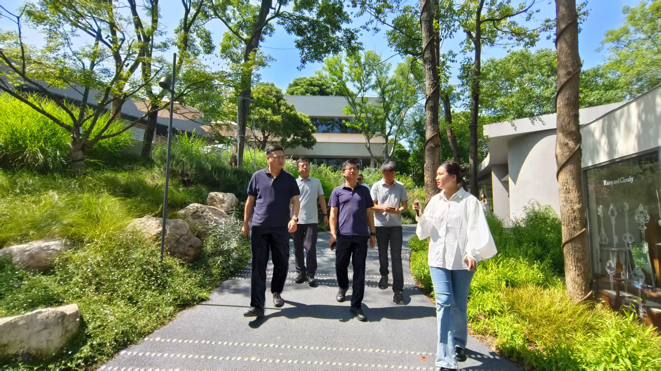 1750121528383346.jpg 1750121528383346.jpg